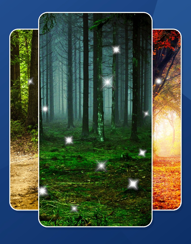 Forest Live Wallpaper